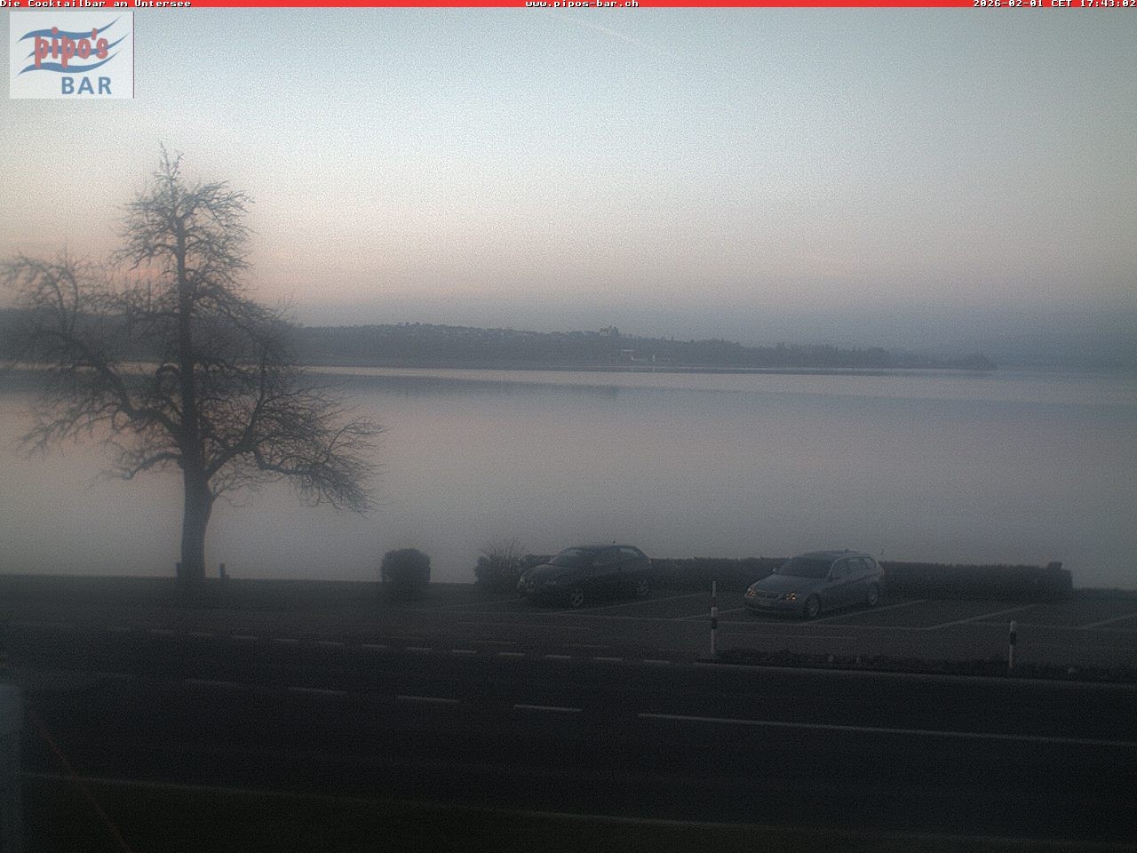 Archiv Foto Webcam Berlingen - Blick auf den Untersee