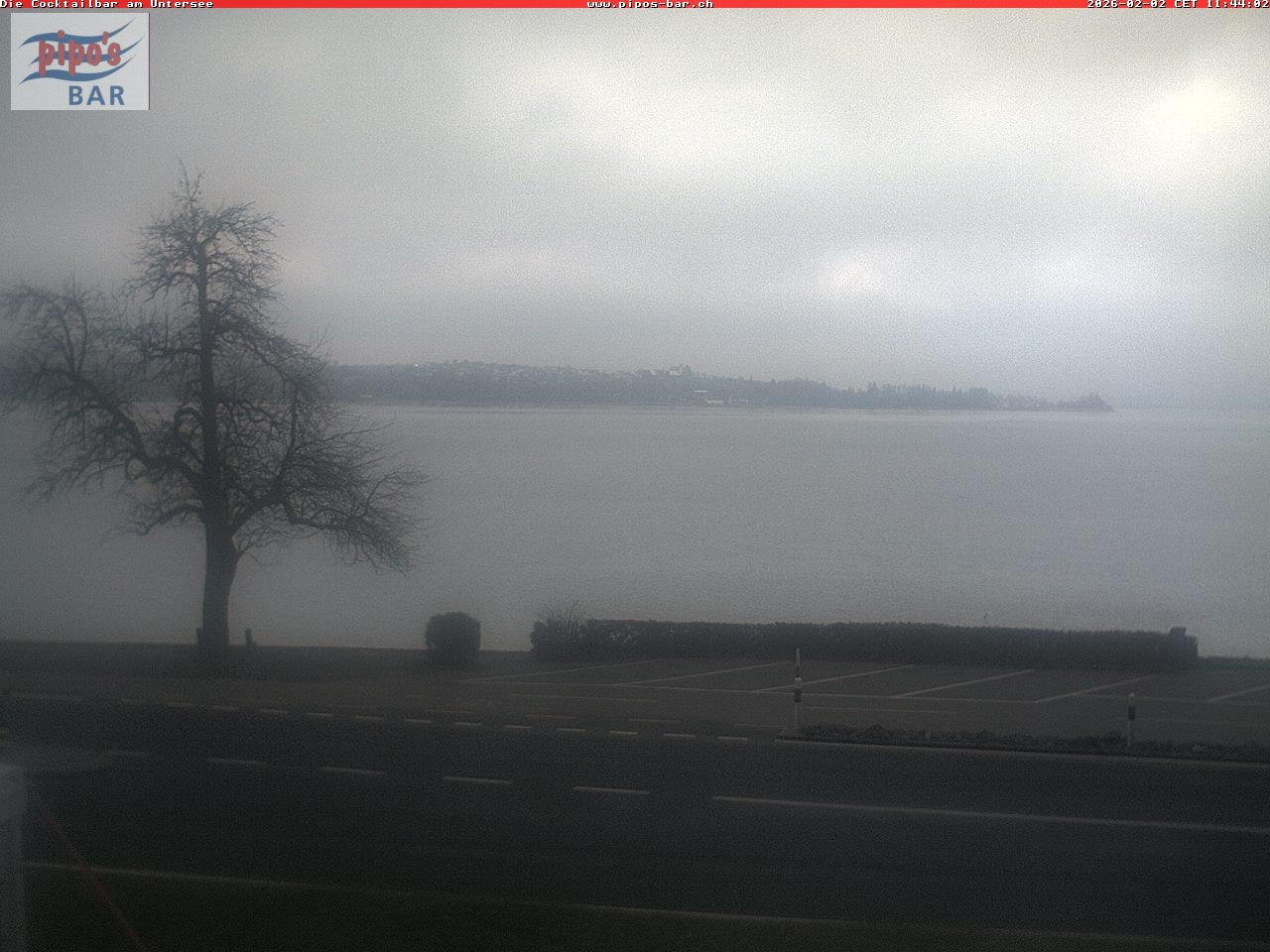 Archiv Foto Webcam Berlingen - Blick auf den Untersee