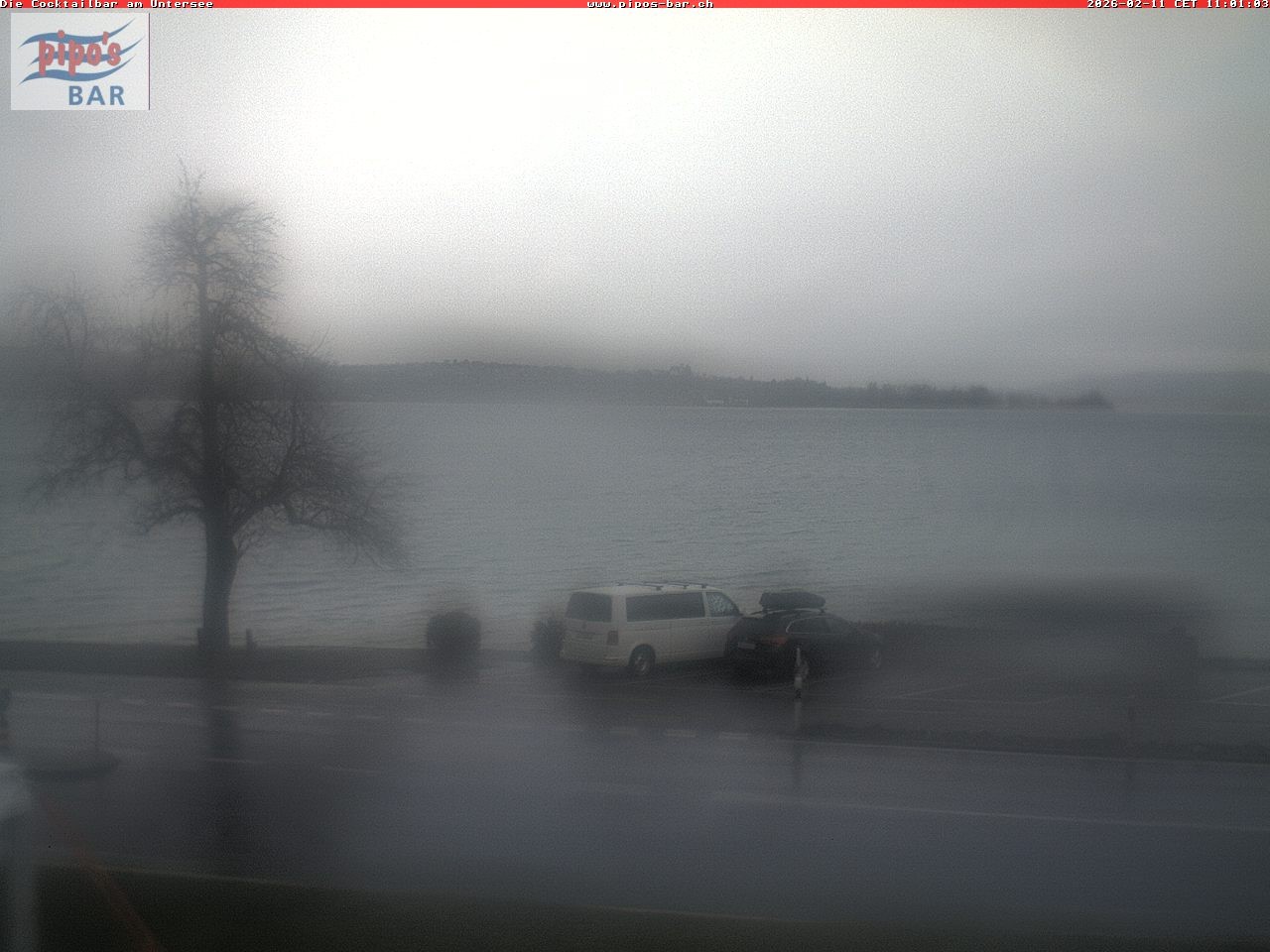 Archiv Foto Webcam Berlingen - Blick auf den Untersee