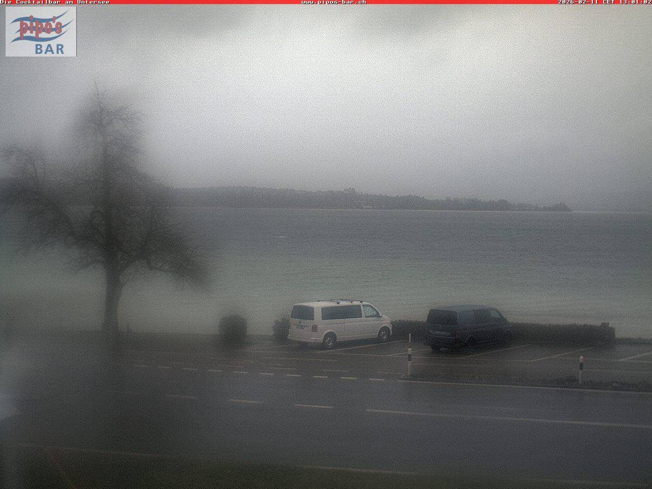 Archiv Foto Webcam Berlingen - Blick auf den Untersee