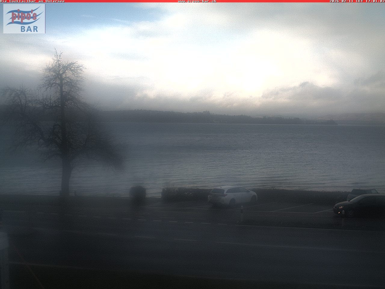 Archiv Foto Webcam Berlingen - Blick auf den Untersee