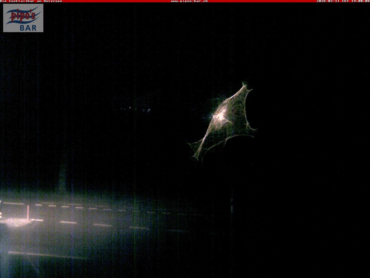 Archiv Foto Webcam Berlingen - Blick auf den Untersee