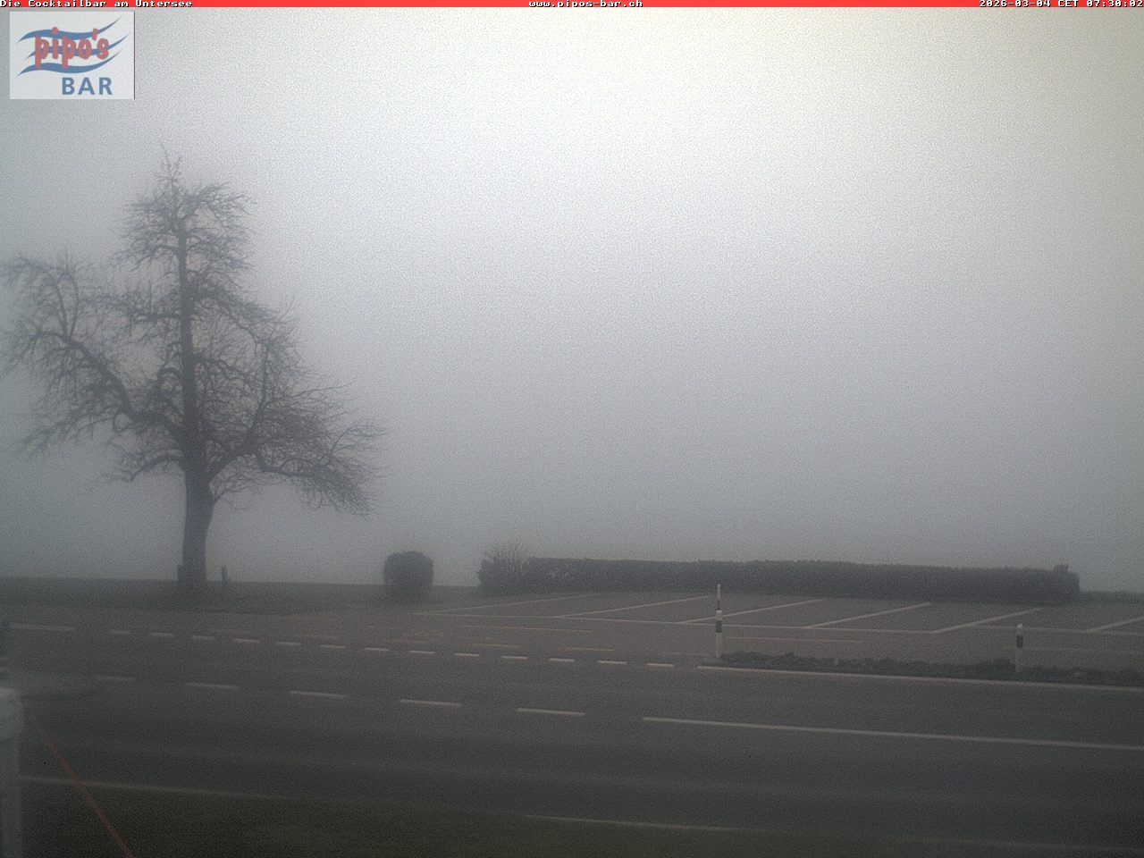 Archiv Foto Webcam Berlingen - Blick auf den Untersee