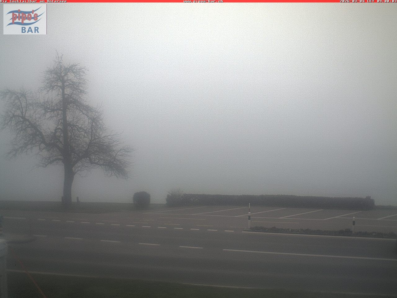 Archiv Foto Webcam Berlingen - Blick auf den Untersee