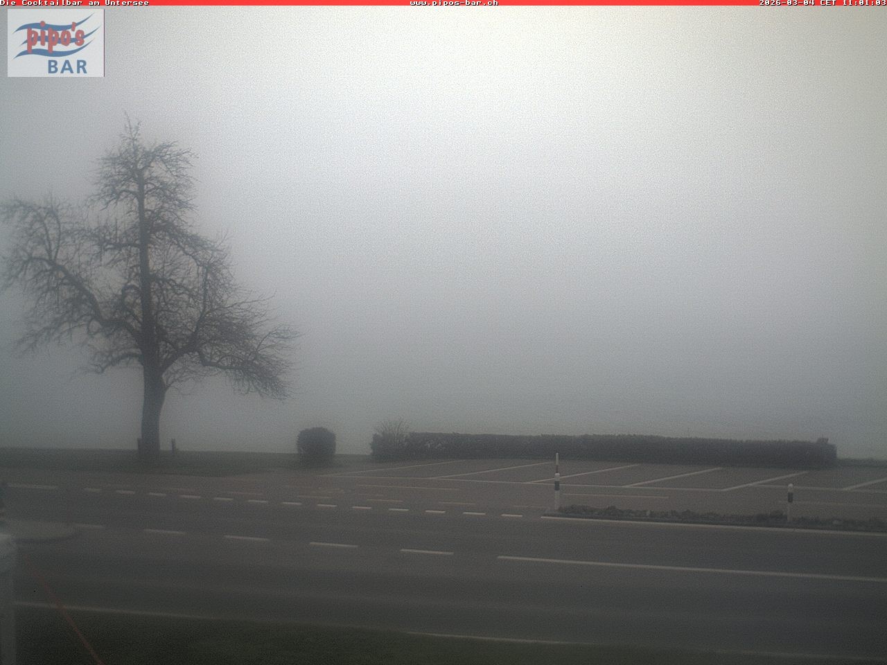 Archiv Foto Webcam Berlingen - Blick auf den Untersee