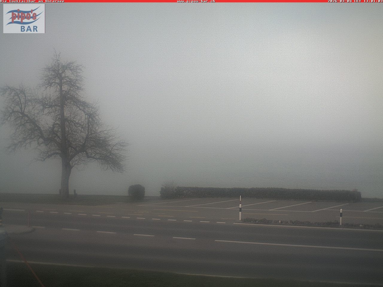 Archiv Foto Webcam Berlingen - Blick auf den Untersee