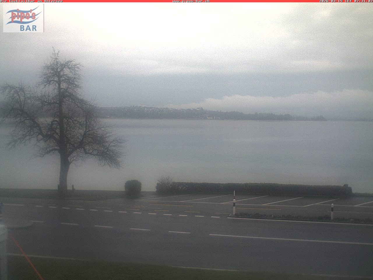 Archiv Foto Webcam Berlingen - Blick auf den Untersee