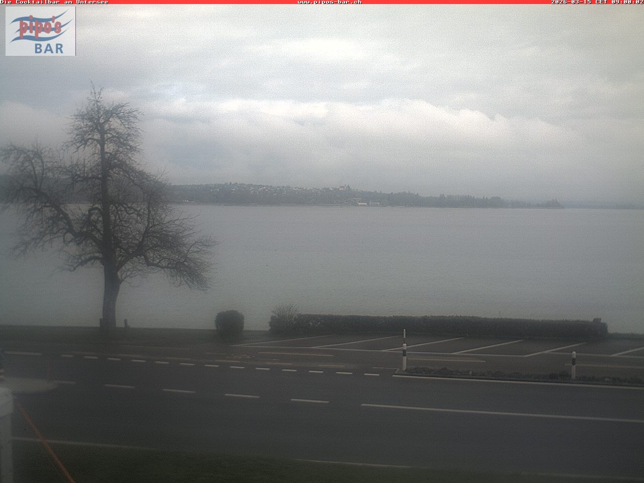 Archiv Foto Webcam Berlingen - Blick auf den Untersee