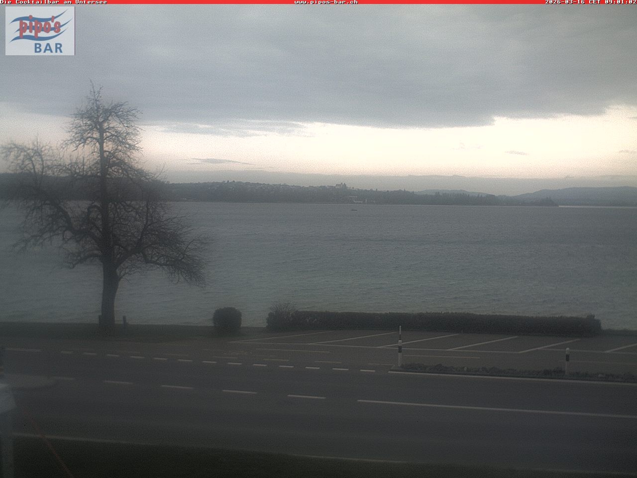 Archiv Foto Webcam Berlingen - Blick auf den Untersee