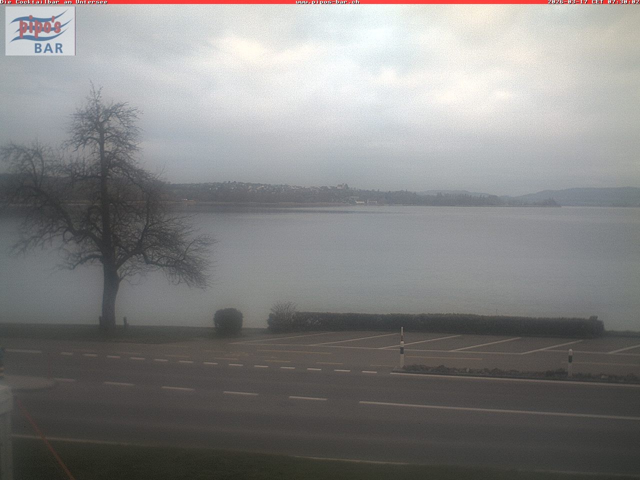 Archiv Foto Webcam Berlingen - Blick auf den Untersee