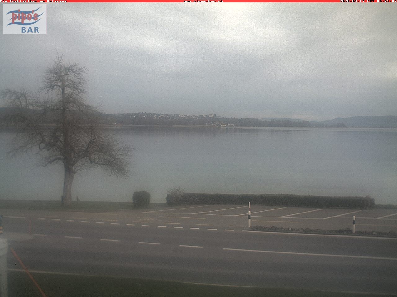 Archiv Foto Webcam Berlingen - Blick auf den Untersee