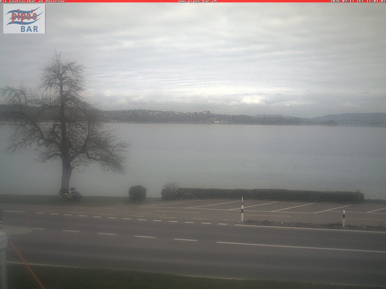 Archiv Foto Webcam Berlingen - Blick auf den Untersee