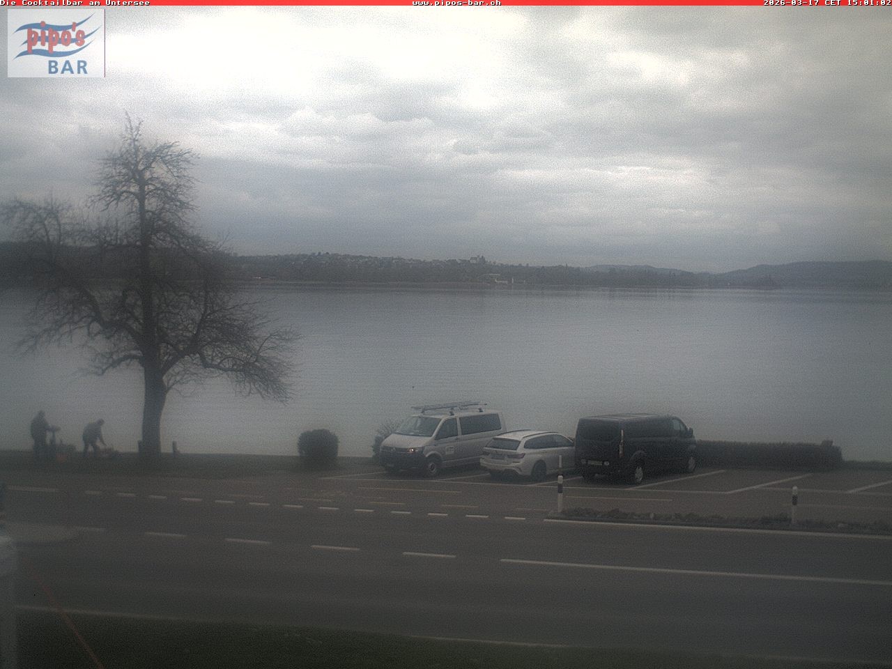 Archiv Foto Webcam Berlingen - Blick auf den Untersee