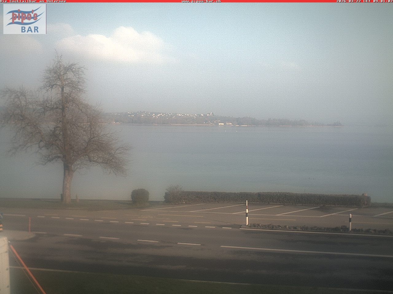 Archiv Foto Webcam Berlingen - Blick auf den Untersee