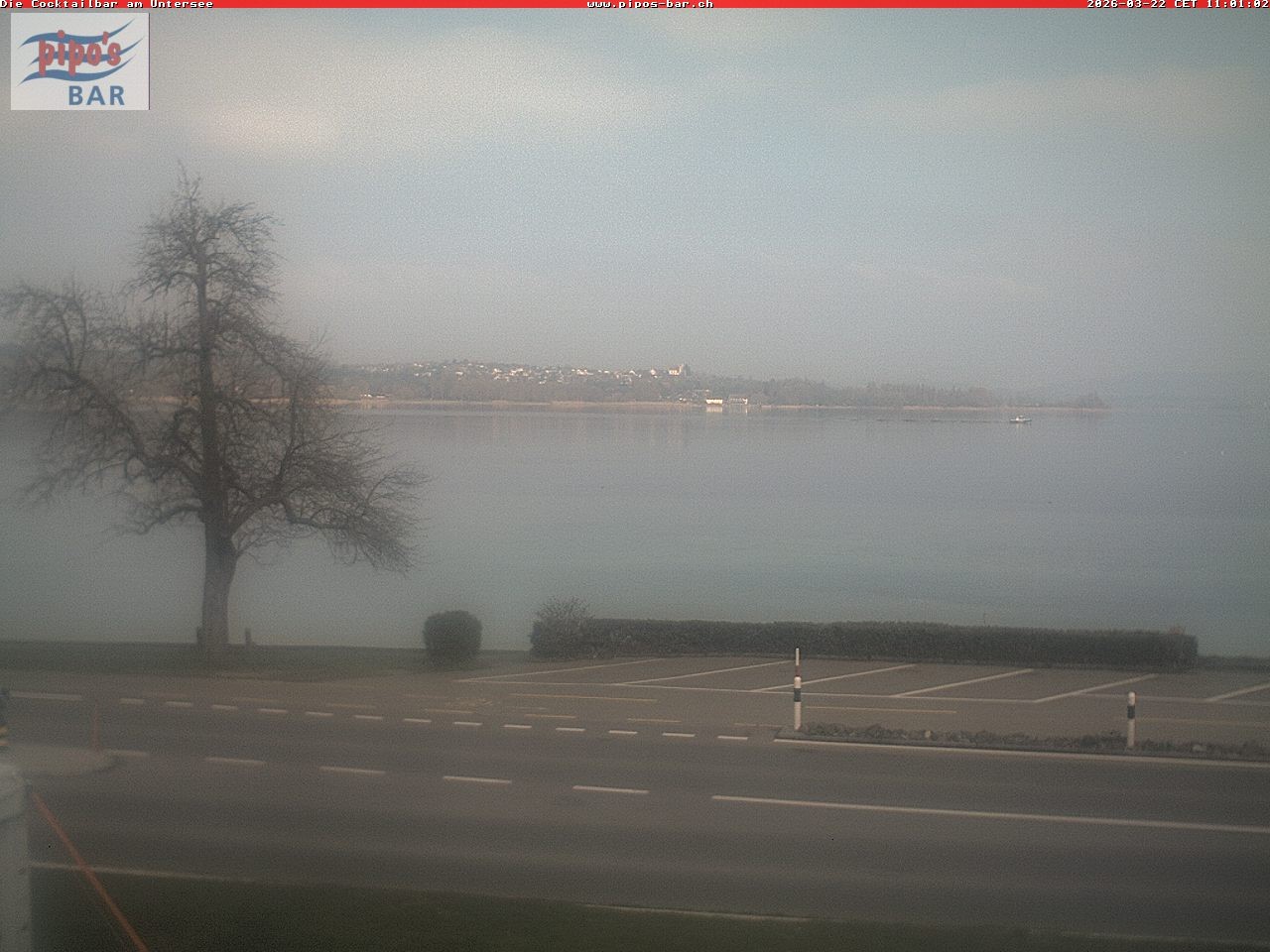 Archiv Foto Webcam Berlingen - Blick auf den Untersee