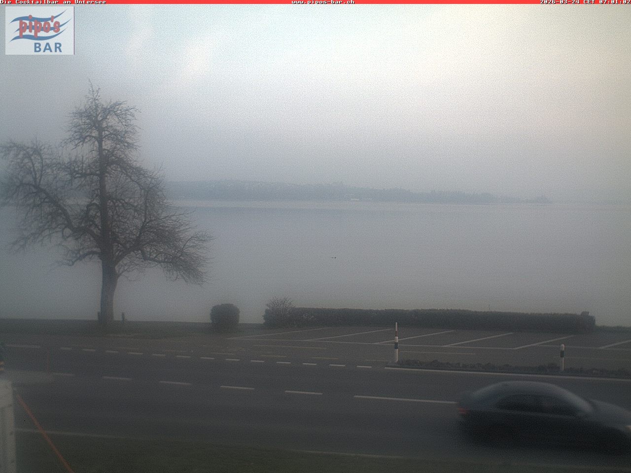 Archiv Foto Webcam Berlingen - Blick auf den Untersee