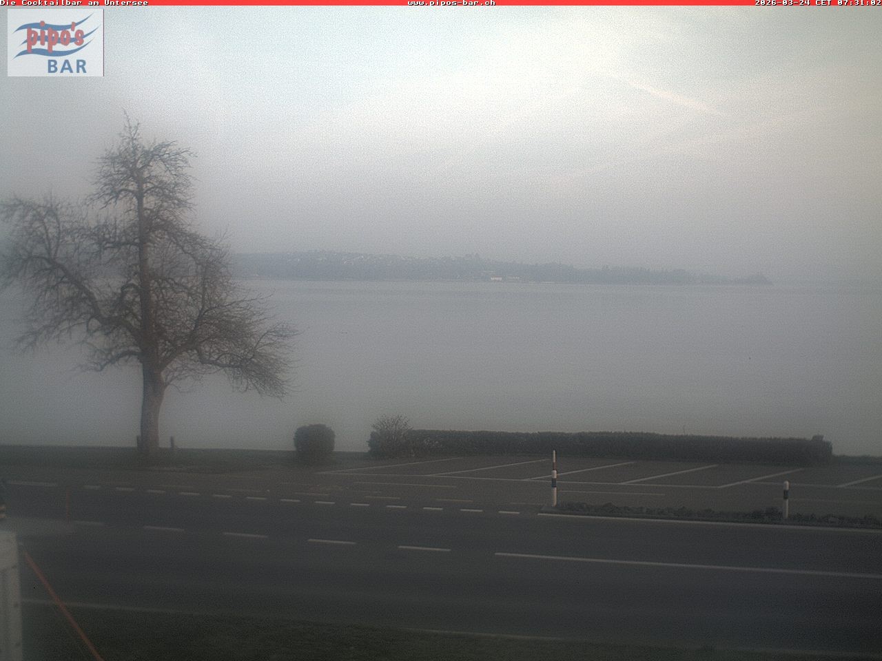 Archiv Foto Webcam Berlingen - Blick auf den Untersee