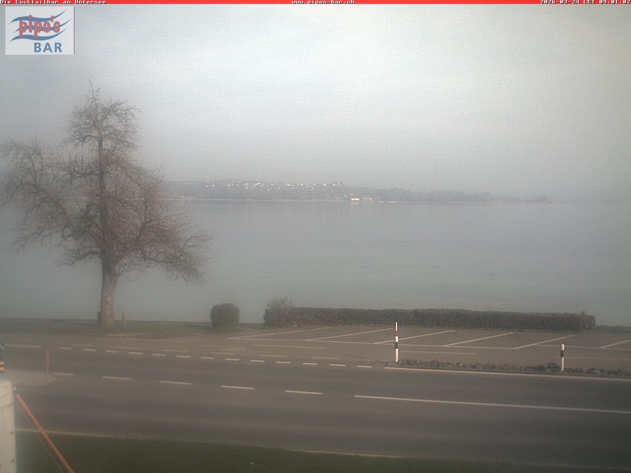 Archiv Foto Webcam Berlingen - Blick auf den Untersee