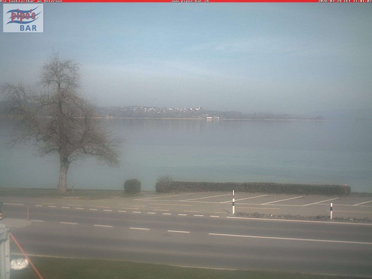 Archiv Foto Webcam Berlingen - Blick auf den Untersee