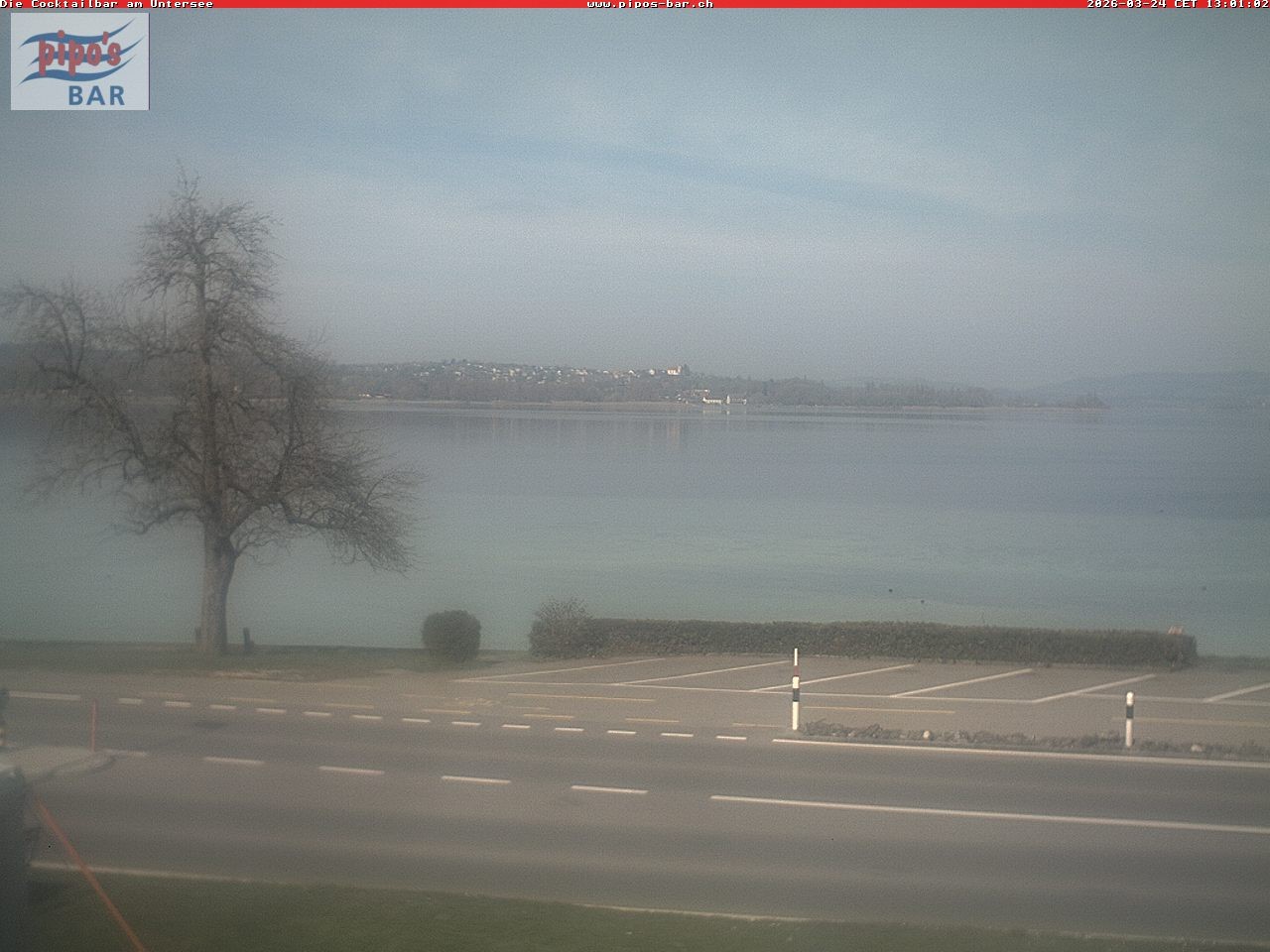 Archiv Foto Webcam Berlingen - Blick auf den Untersee