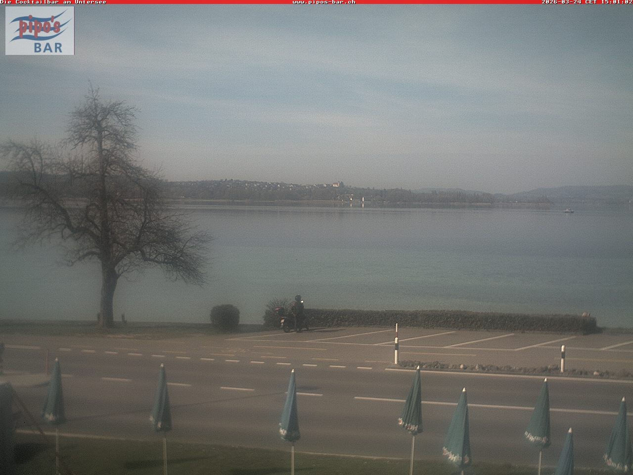 Archiv Foto Webcam Berlingen - Blick auf den Untersee