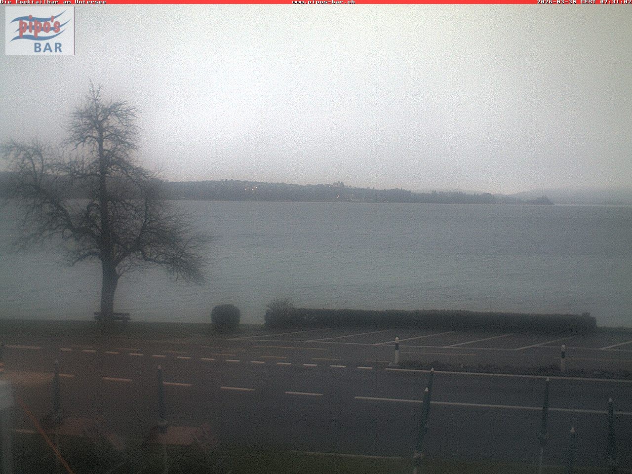 Archiv Foto Webcam Berlingen - Blick auf den Untersee