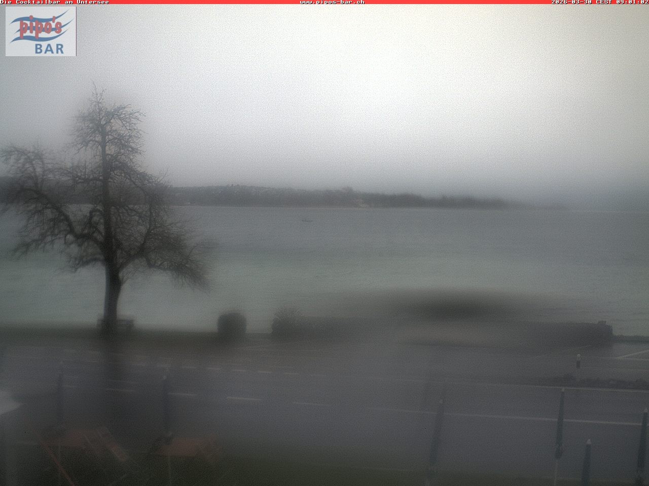 Archiv Foto Webcam Berlingen - Blick auf den Untersee