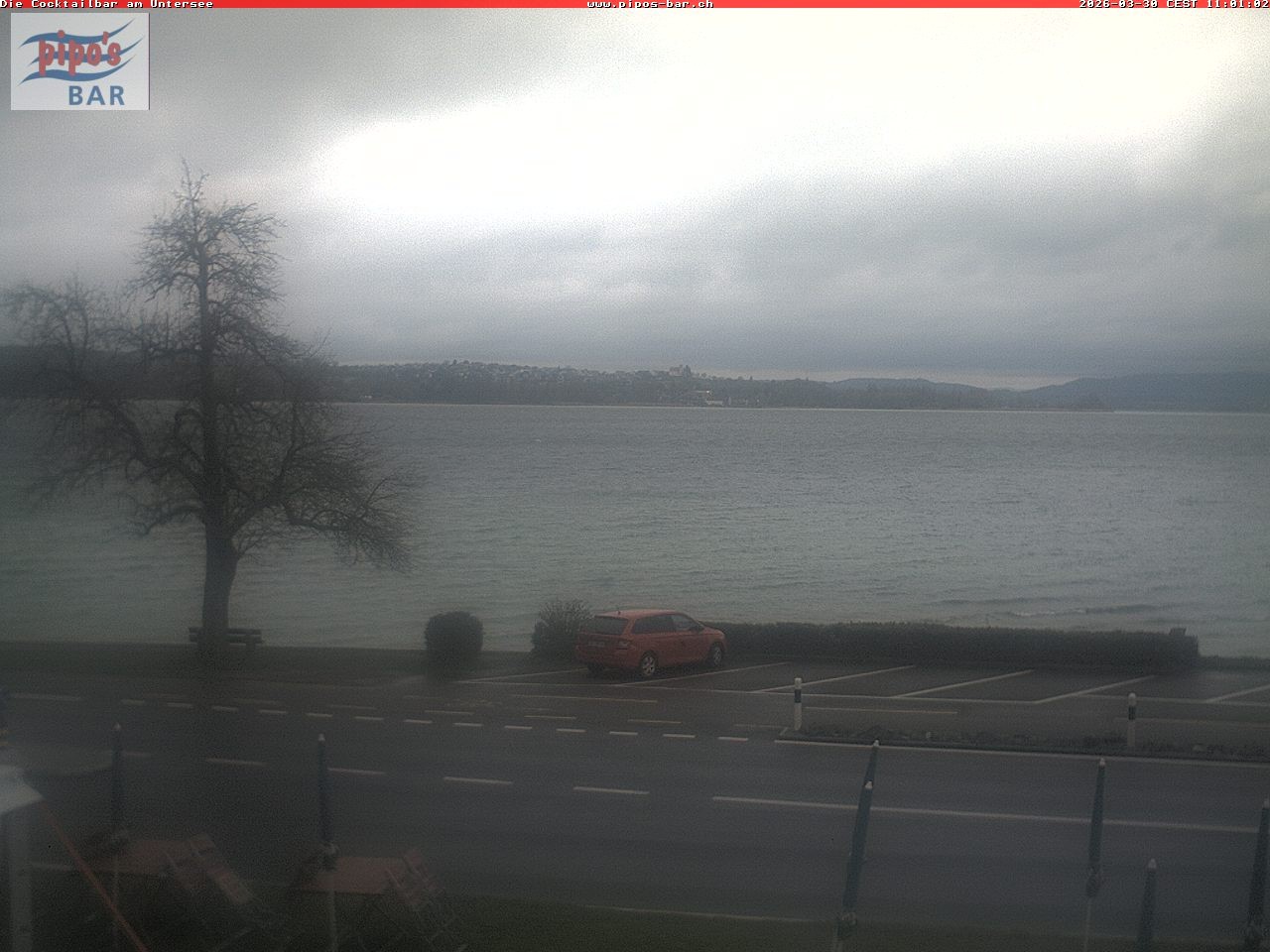 Archiv Foto Webcam Berlingen - Blick auf den Untersee