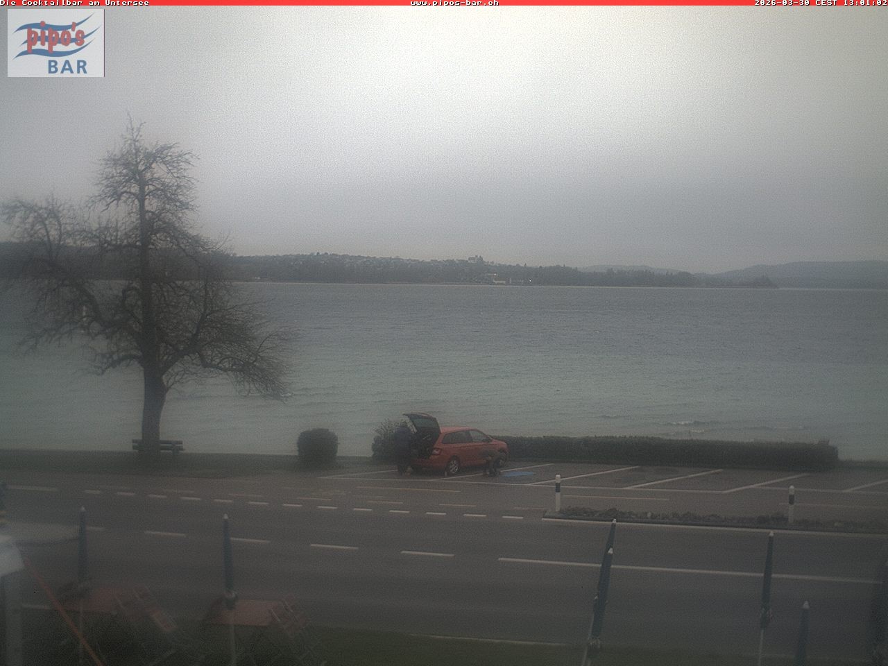 Archiv Foto Webcam Berlingen - Blick auf den Untersee