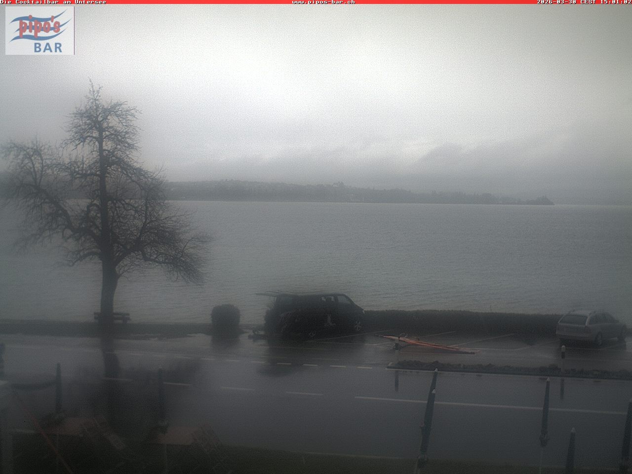 Archiv Foto Webcam Berlingen - Blick auf den Untersee