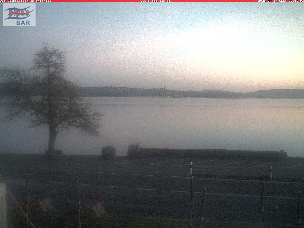 Archiv Foto Webcam Berlingen - Blick auf den Untersee