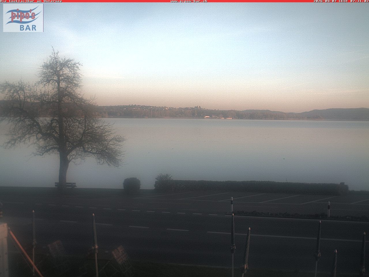 Archiv Foto Webcam Berlingen - Blick auf den Untersee