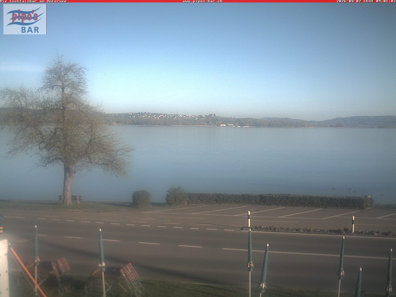Archiv Foto Webcam Berlingen - Blick auf den Untersee