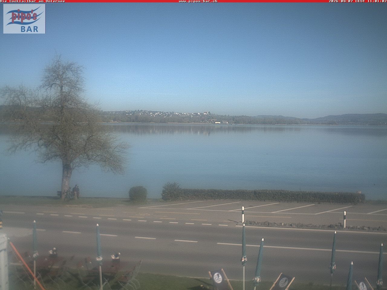 Archiv Foto Webcam Berlingen - Blick auf den Untersee