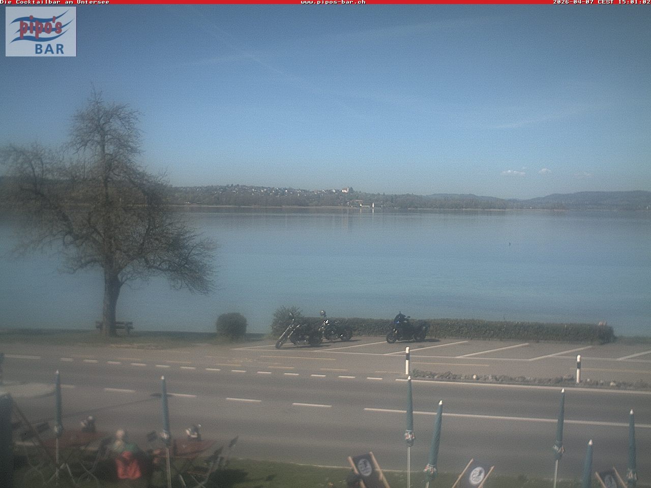 Archiv Foto Webcam Berlingen - Blick auf den Untersee