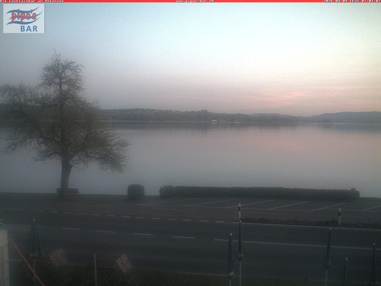 Archiv Foto Webcam Berlingen - Blick auf den Untersee