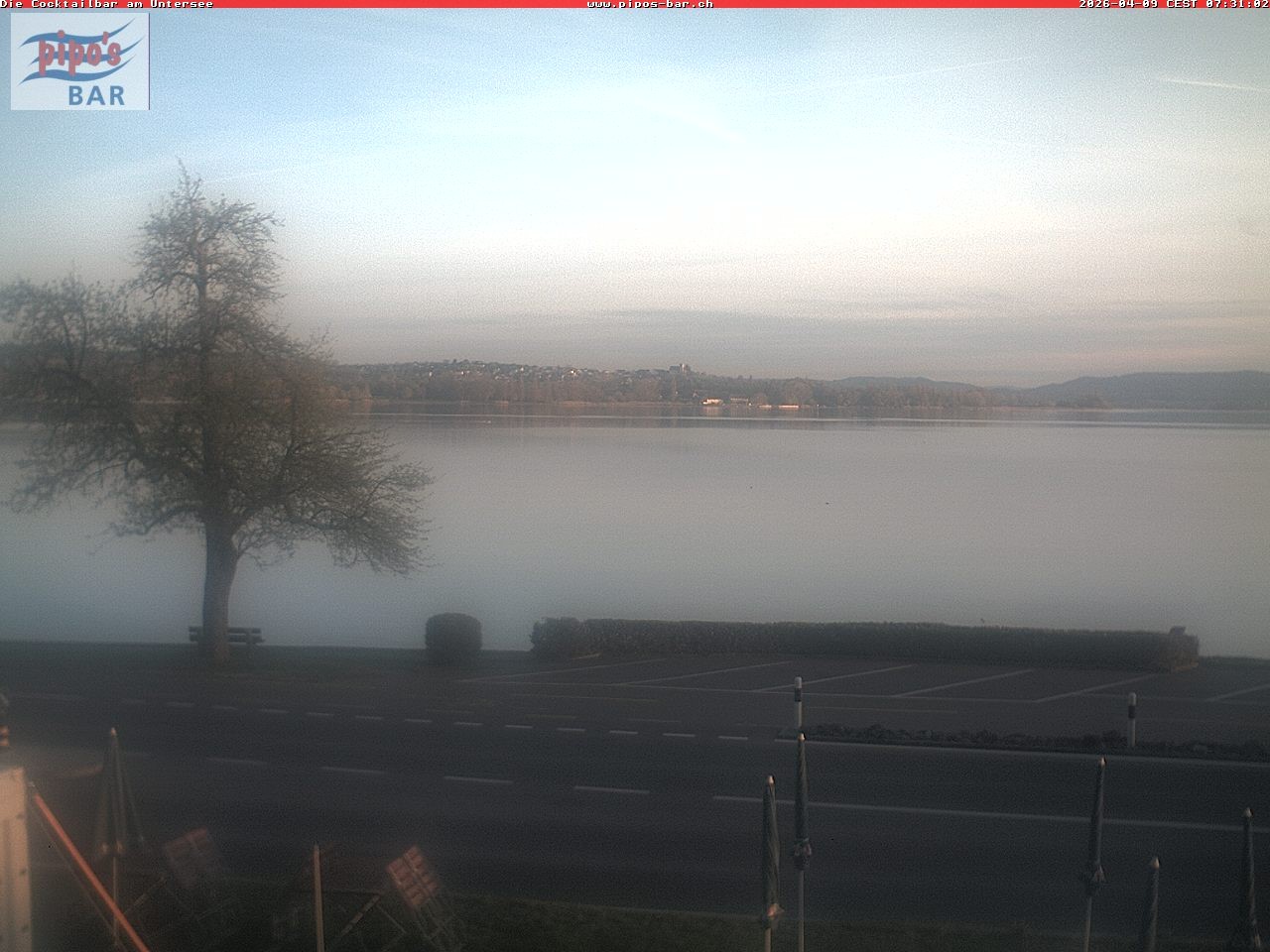 Archiv Foto Webcam Berlingen - Blick auf den Untersee