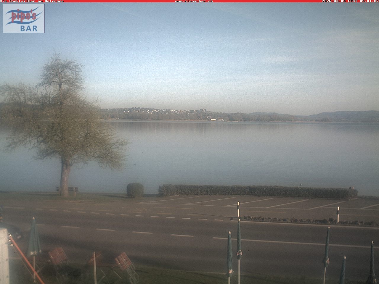Archiv Foto Webcam Berlingen - Blick auf den Untersee