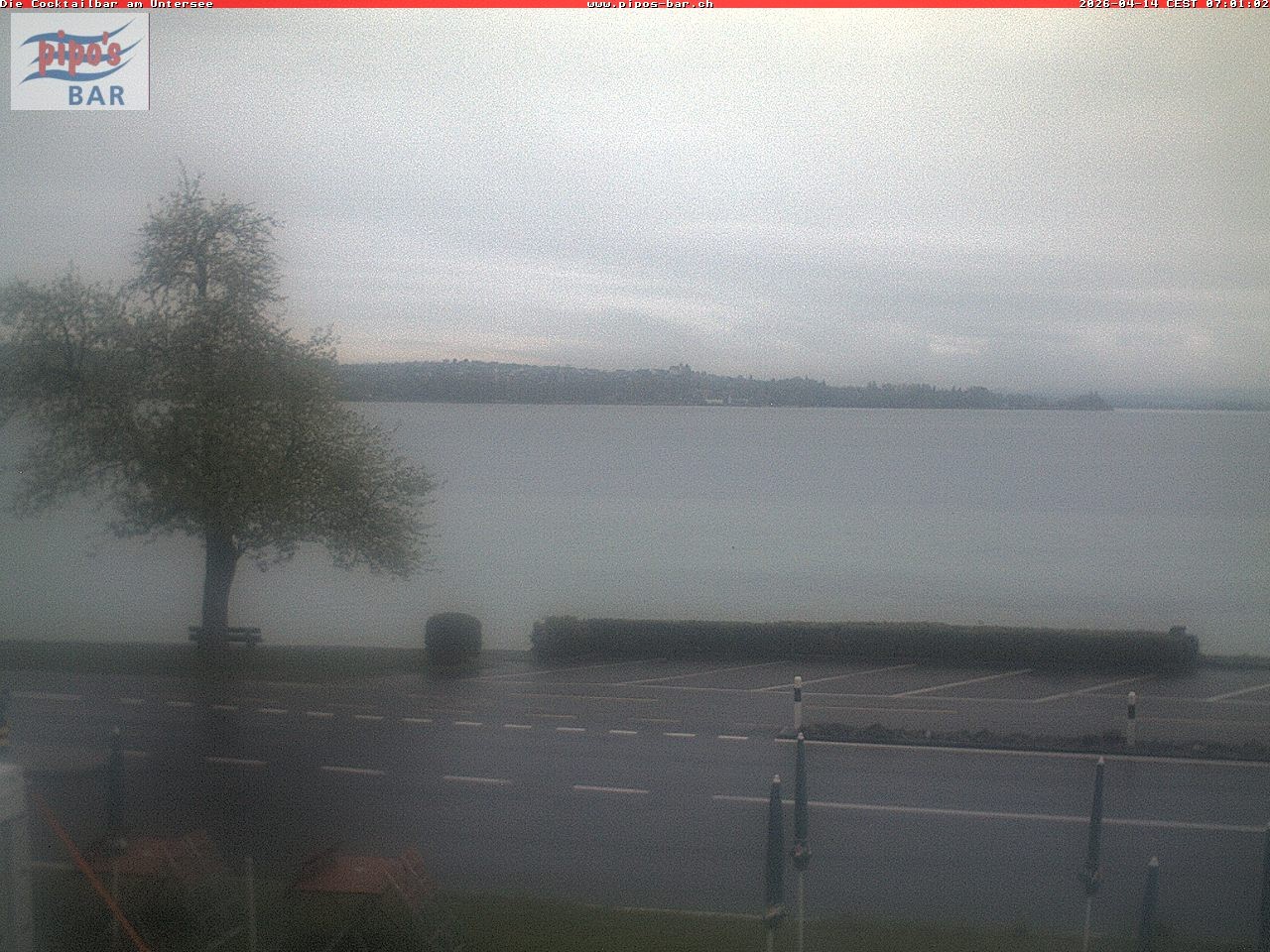 Archiv Foto Webcam Berlingen - Blick auf den Untersee