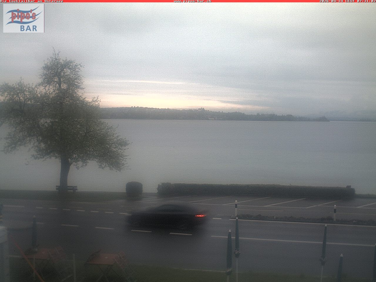 Archiv Foto Webcam Berlingen - Blick auf den Untersee