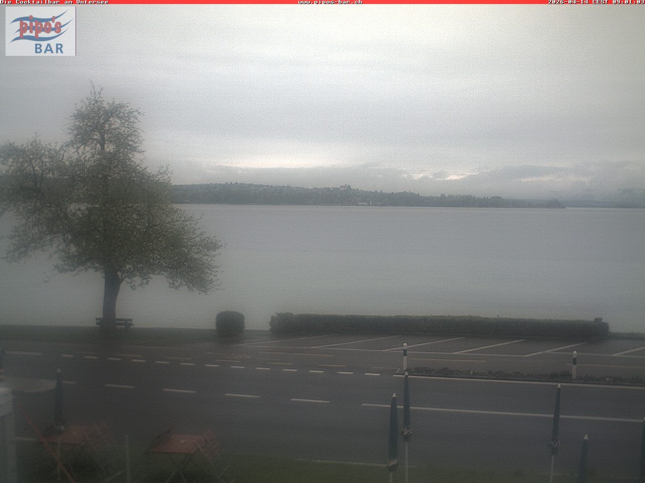 Archiv Foto Webcam Berlingen - Blick auf den Untersee