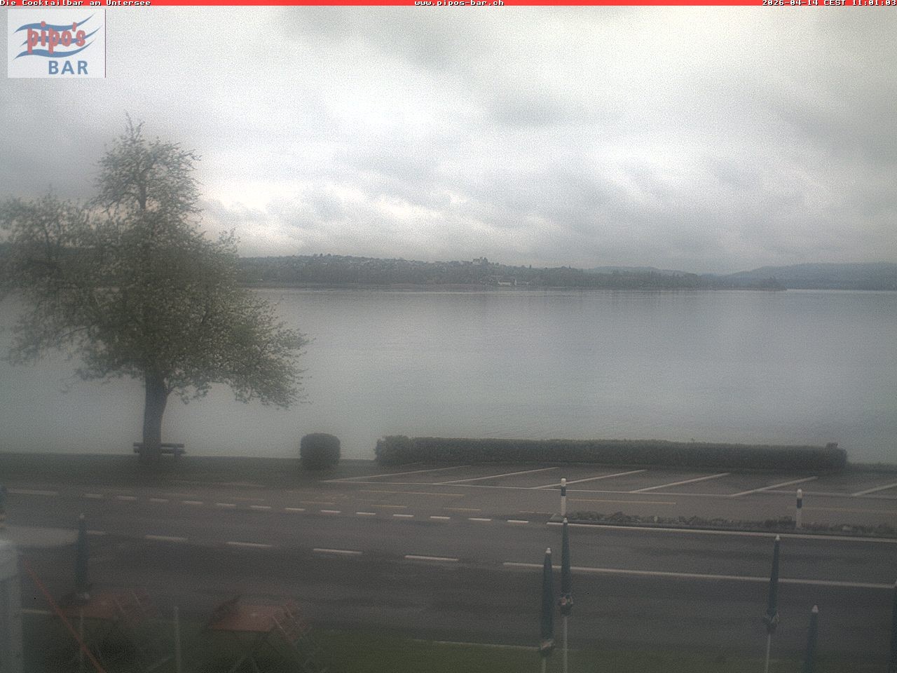 Archiv Foto Webcam Berlingen - Blick auf den Untersee