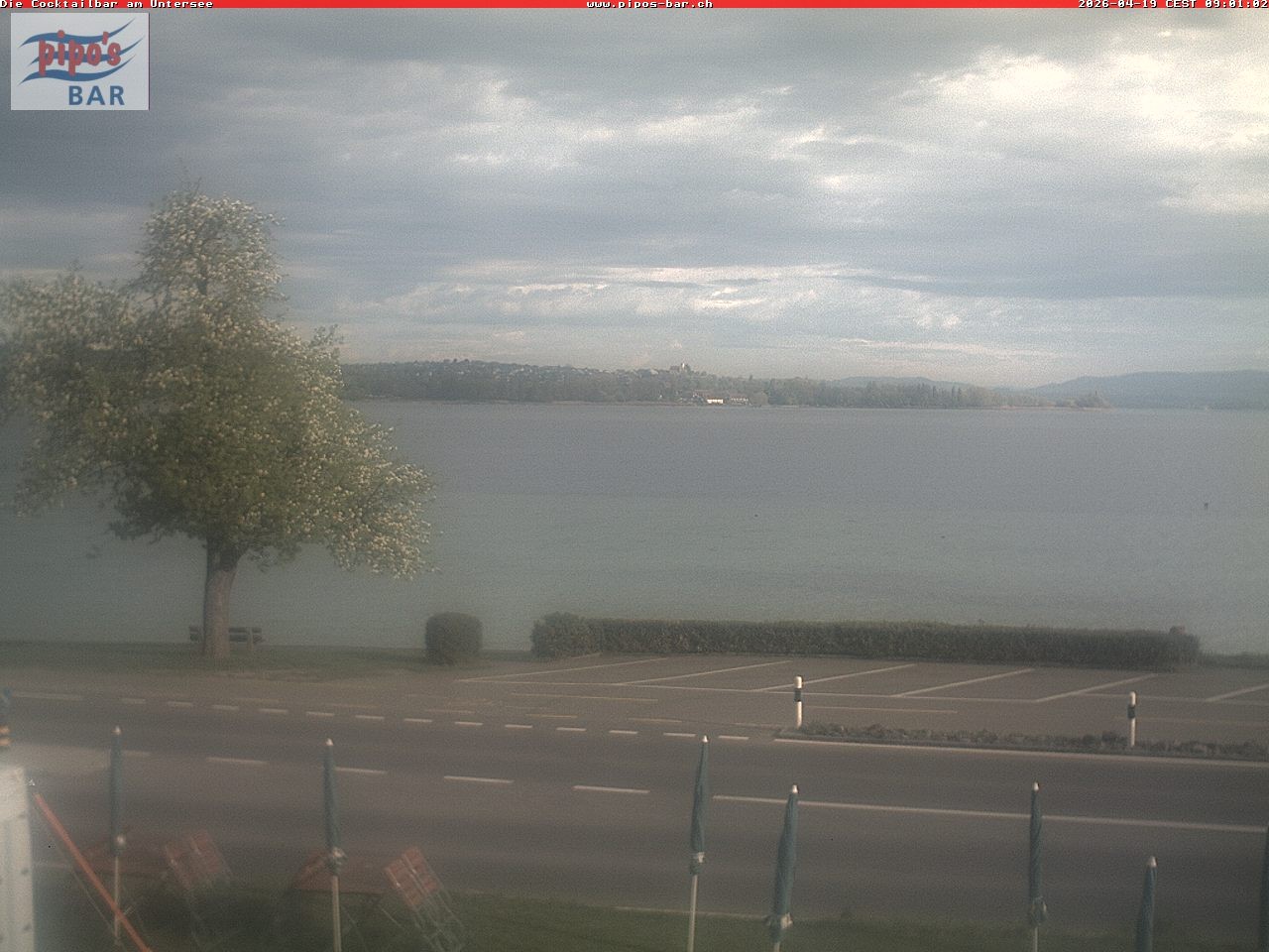 Archiv Foto Webcam Berlingen - Blick auf den Untersee