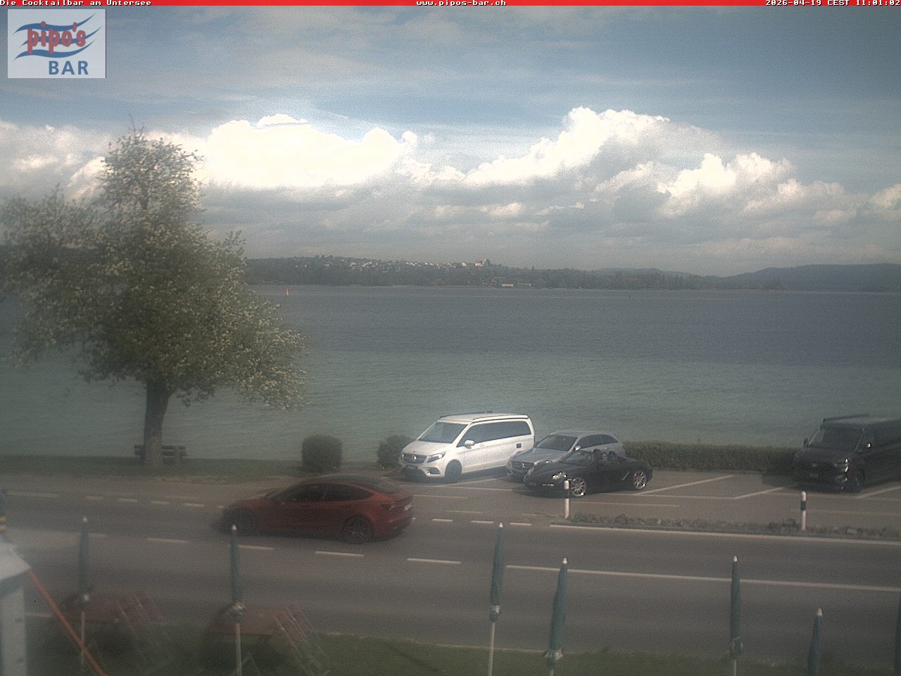 Archiv Foto Webcam Berlingen - Blick auf den Untersee