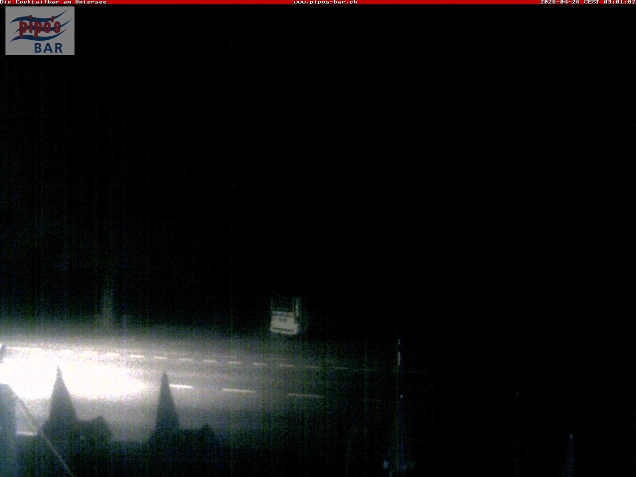 Archiv Foto Webcam Berlingen - Blick auf den Untersee