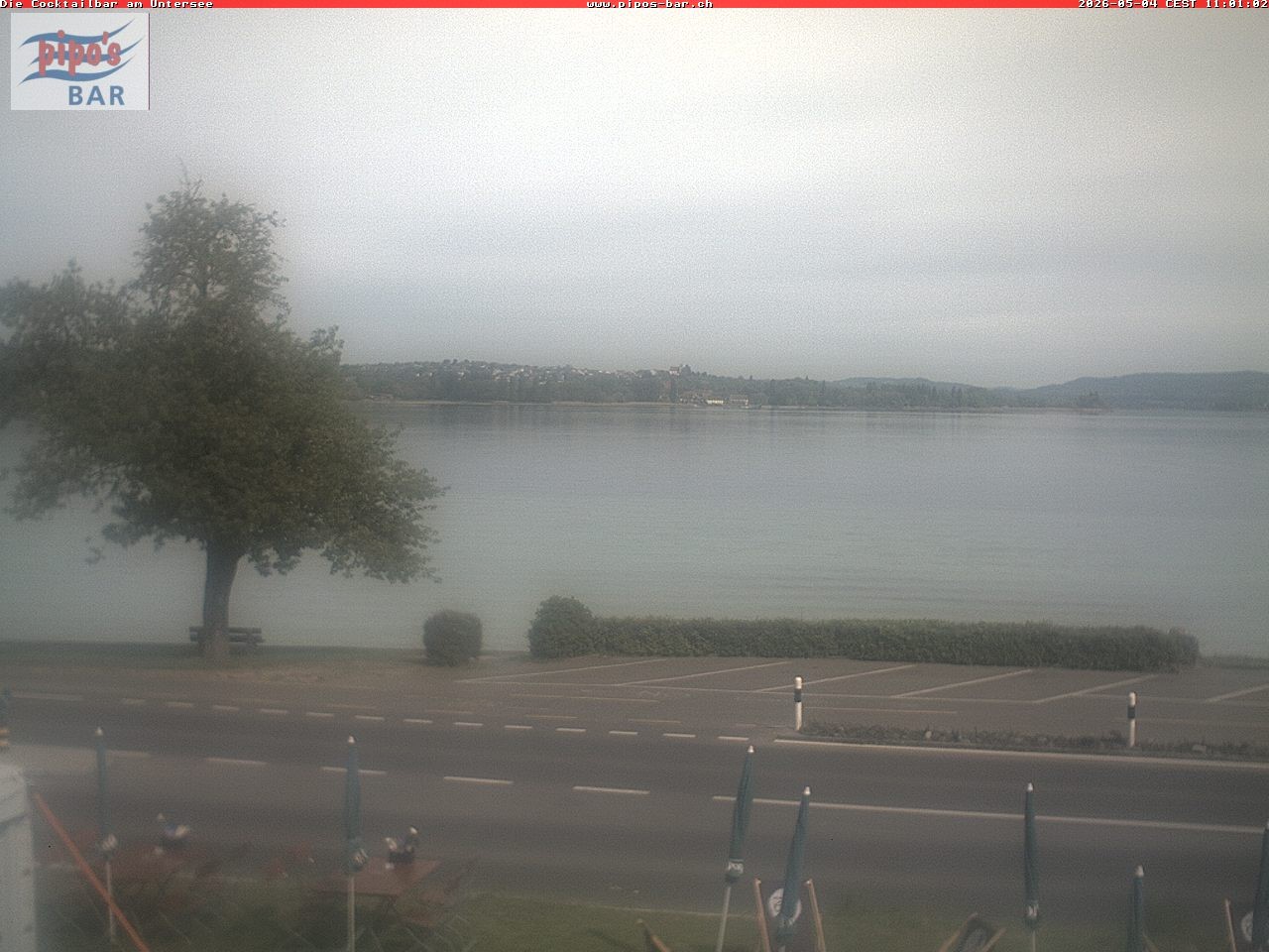 Archiv Foto Webcam Berlingen - Blick auf den Untersee