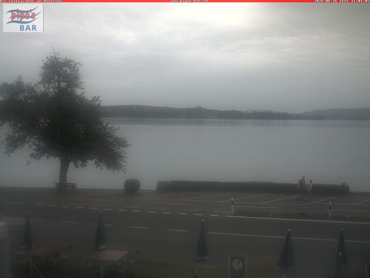 Archiv Foto Webcam Berlingen - Blick auf den Untersee