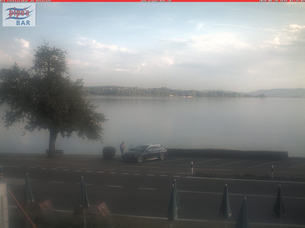 Archiv Foto Webcam Berlingen - Blick auf den Untersee