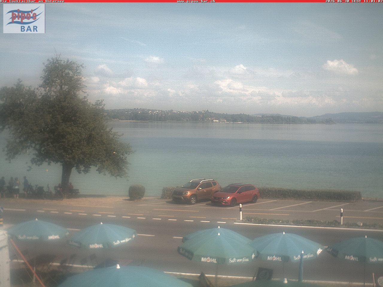 Archiv Foto Webcam Berlingen - Blick auf den Untersee