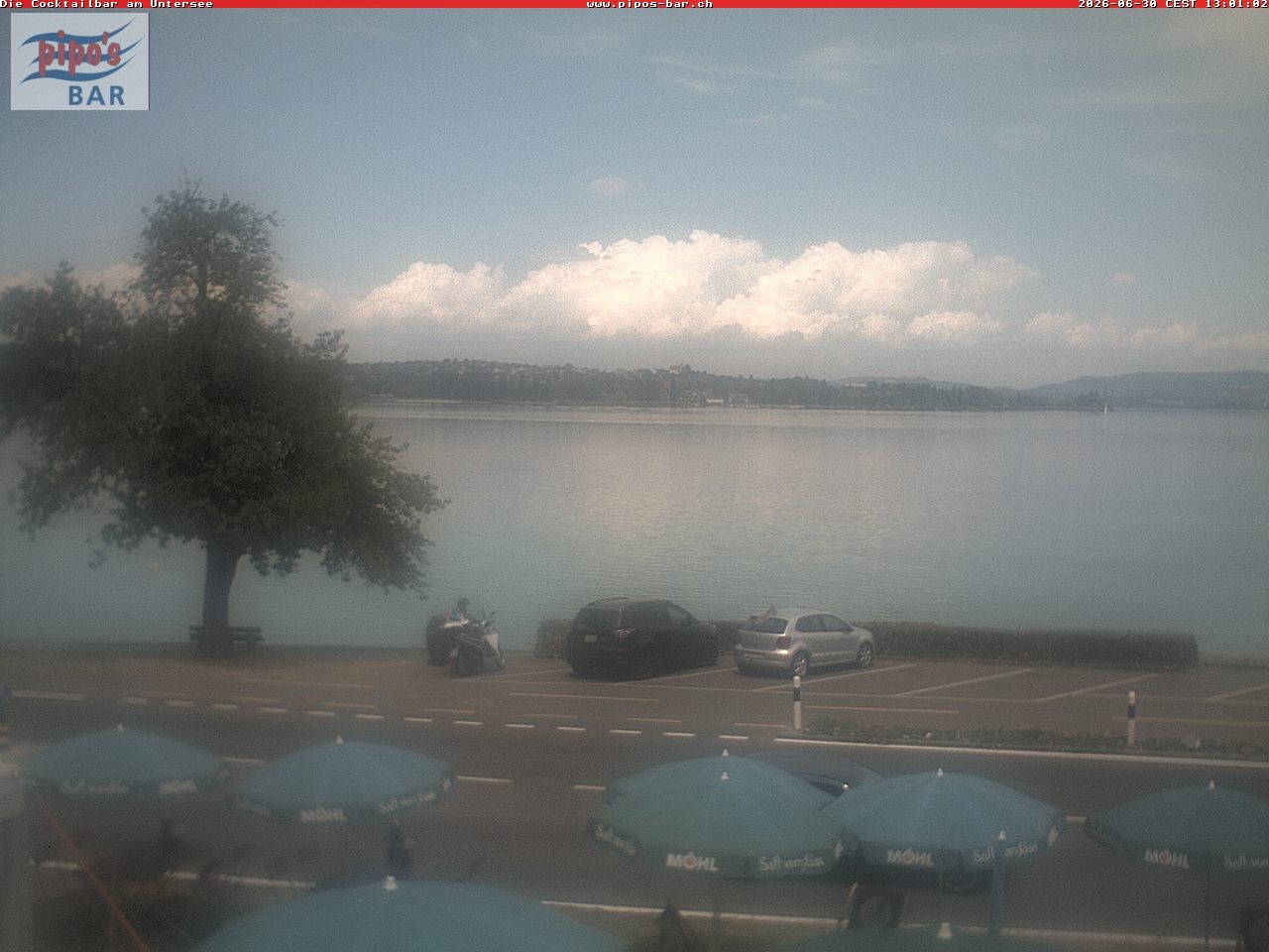Archiv Foto Webcam Berlingen - Blick auf den Untersee